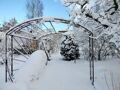 Большая кованая садовая арка для плетистых роз и клематисов . Индивидуальный заказ