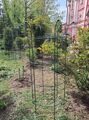 Усиленная опора для больших плетистых роз ( диаметр 75 см)